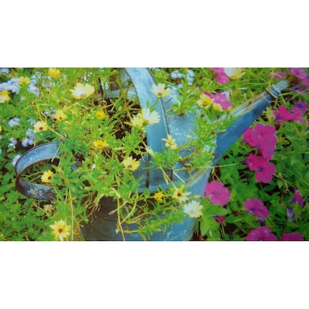 Custom Printed Rugs DM 72 Spring Sprinkles Non Slip Indoor Door Mat 27 x 18 in DM  72